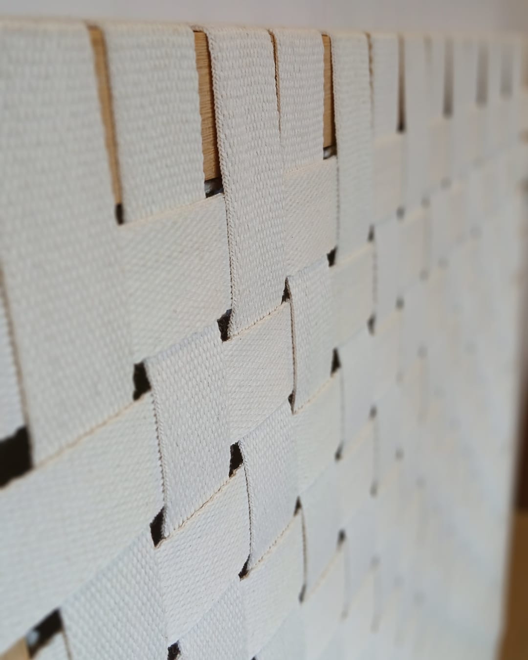 Línea Galón - Cinta Algodón - Imagen 4